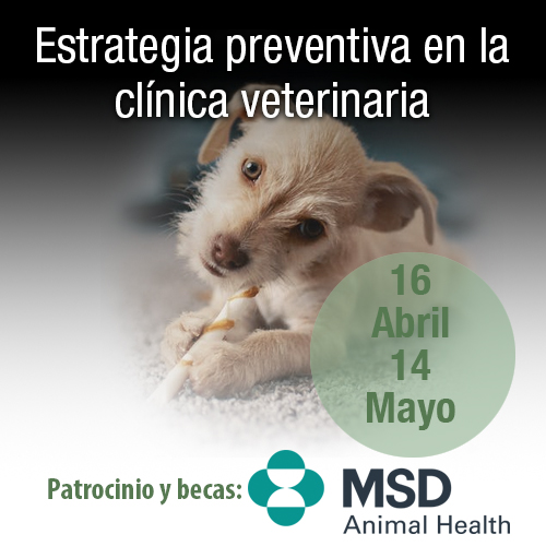 Curso Estrategia preventiva en la clínica veterinaria
