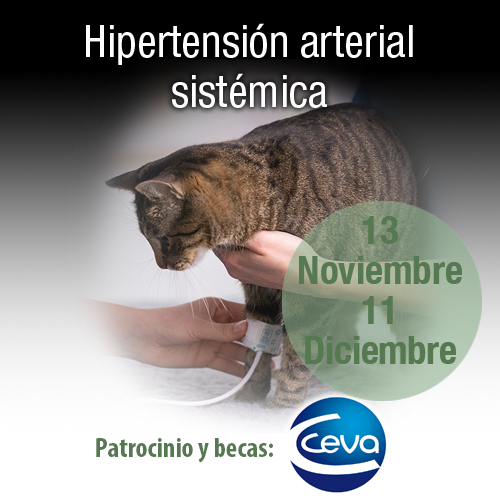 Curso Hipertensión