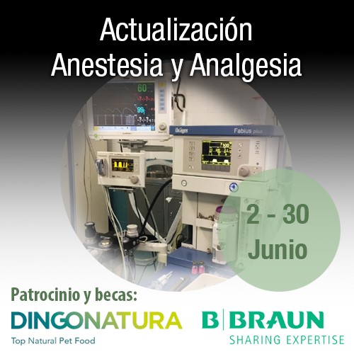 Actualización Anestesia y Analgesia