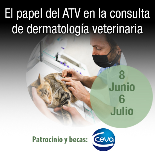 El papel del ATV en la consulta de dermatología veterinaria